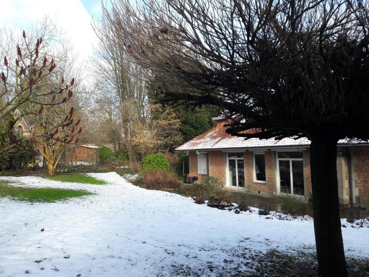 Un Grand Jardin En Ville. Chez Guy Uccle Exterior foto